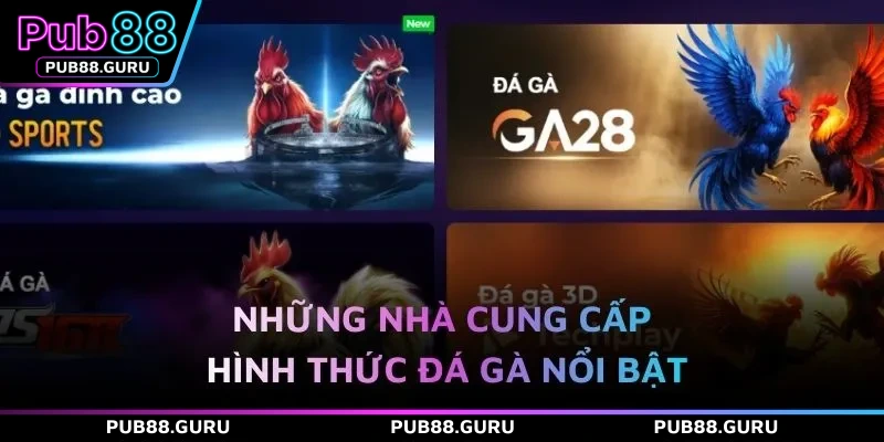 Những nhà cung cấp hình thức đá gà nổi bật